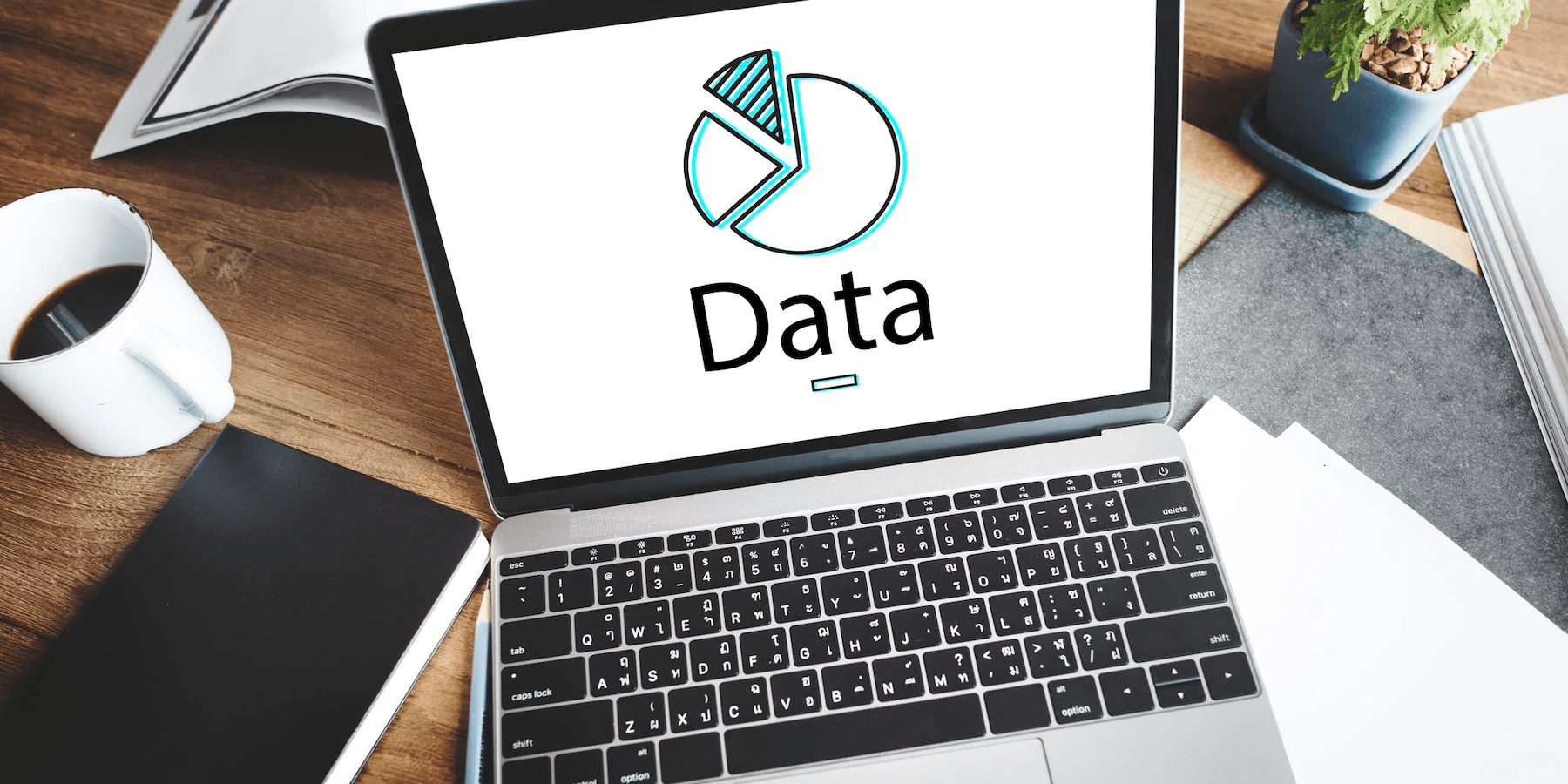 data piechart on a laptop